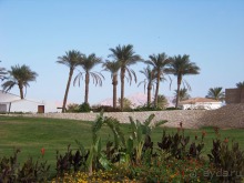 фото Reef Oasis Blue Bay