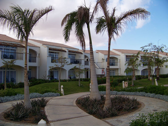 фото Reef Oasis Blue Bay