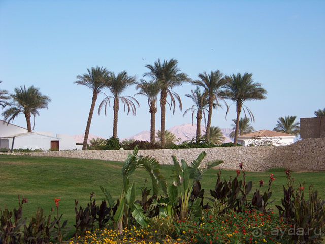 фото Reef Oasis Blue Bay