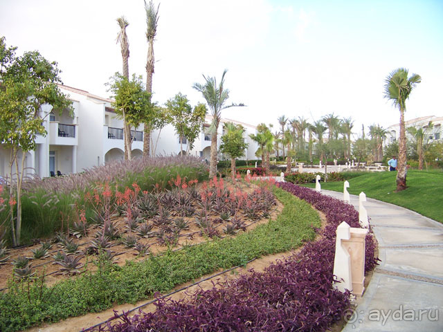 фото Reef Oasis Blue Bay