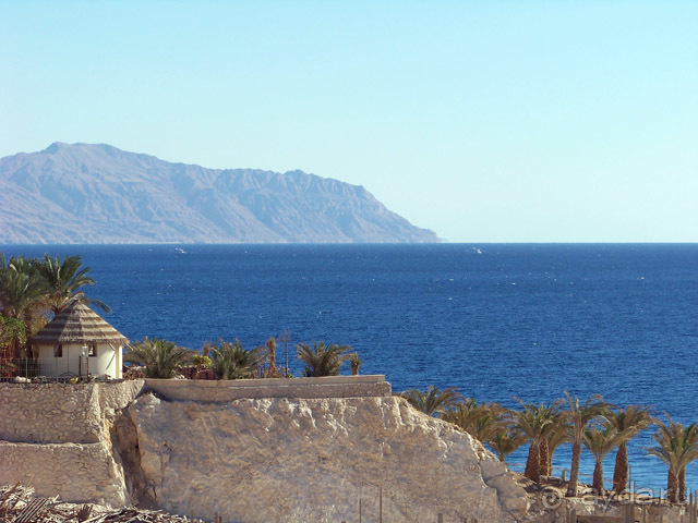 фото Reef Oasis Blue Bay
