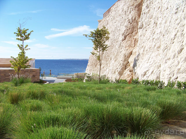 фото Reef Oasis Blue Bay