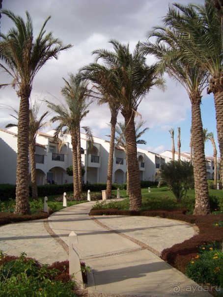 фото Reef Oasis Blue Bay