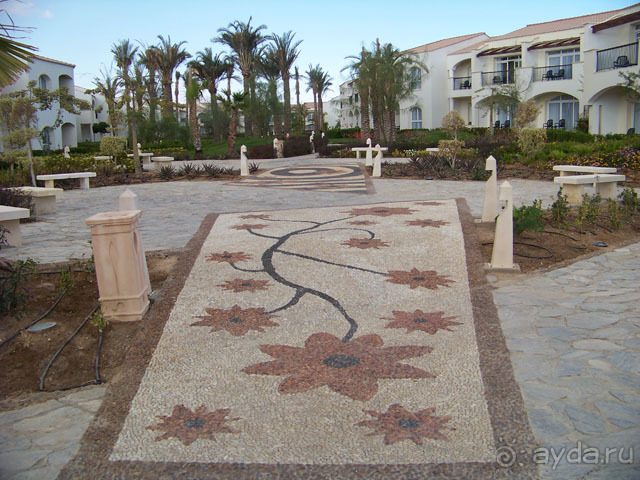 фото Reef Oasis Blue Bay