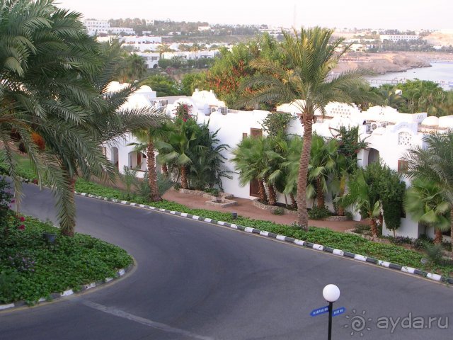 Арль и Камарг Арль и Камарг