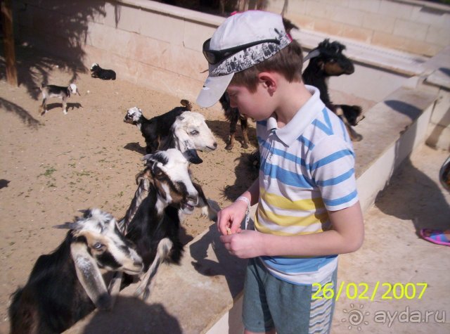 фото Jasmine Village