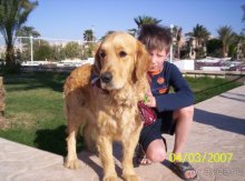 фото Jasmine Village