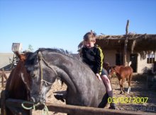 фото Jasmine Village