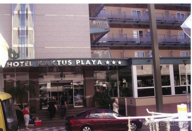 Кактус плайя