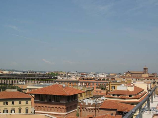 фото Marcella Royal