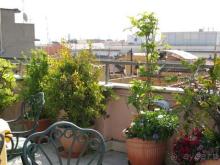 фото Marcella Royal