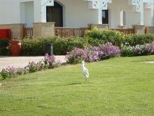 фото Amphoras Beach