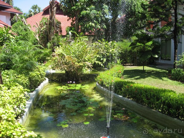 Пруд отеля Пруд отеля