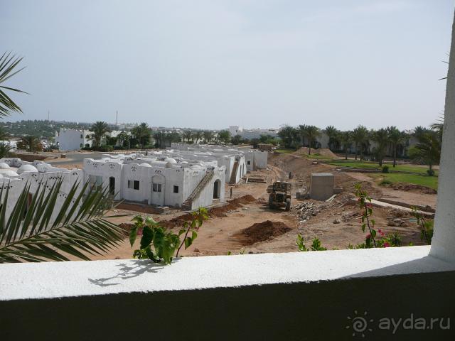 фото Domina Coral Bay Oasis