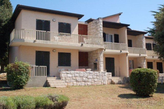 Сол Полинезия  2006 г.