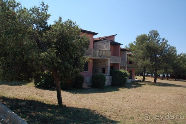 Сол Полинезия  2006 г.