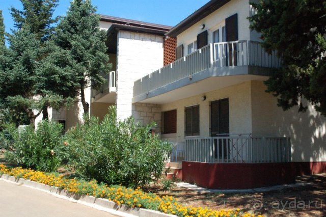 Сол Полинезия  2006 г.