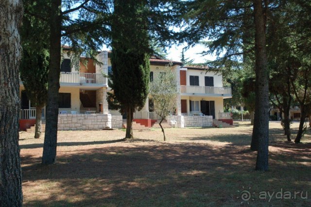 Сол Полинезия  2006 г.