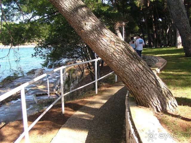 Прогулочная дорожка по берегу