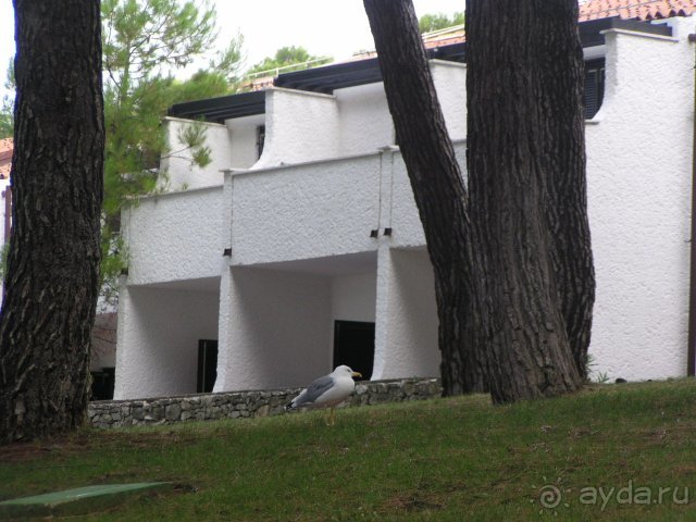 Главный корпус.