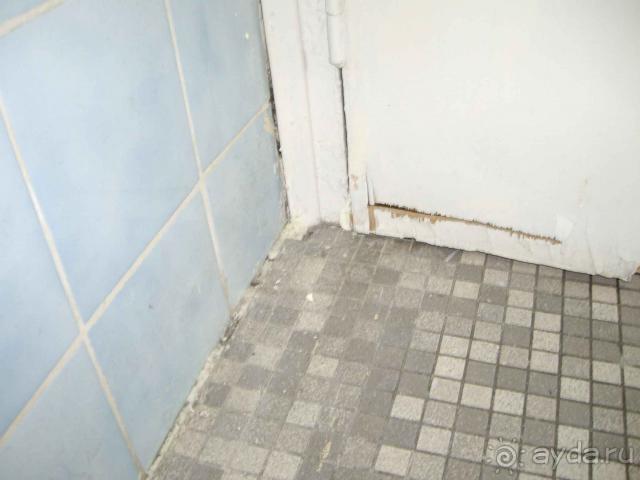 Отель в ужасном состоянии, персонал - нормальный