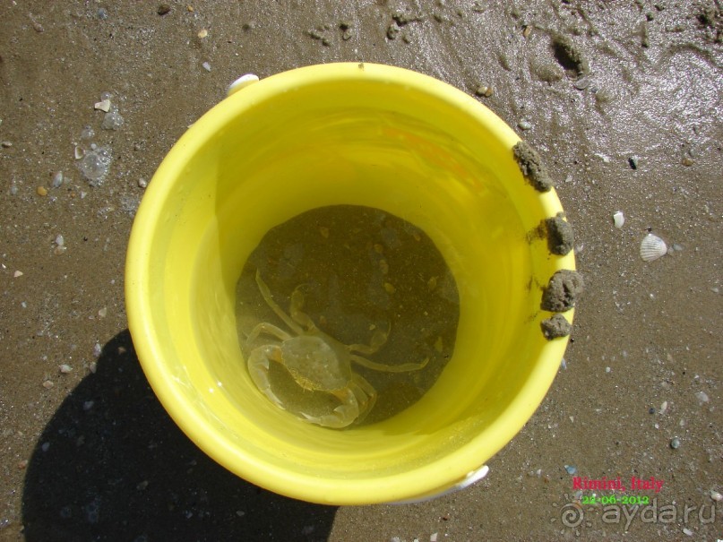 фото Bilbao Jardines