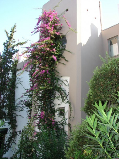 фото Sherwood Greenwood Resort Hotel