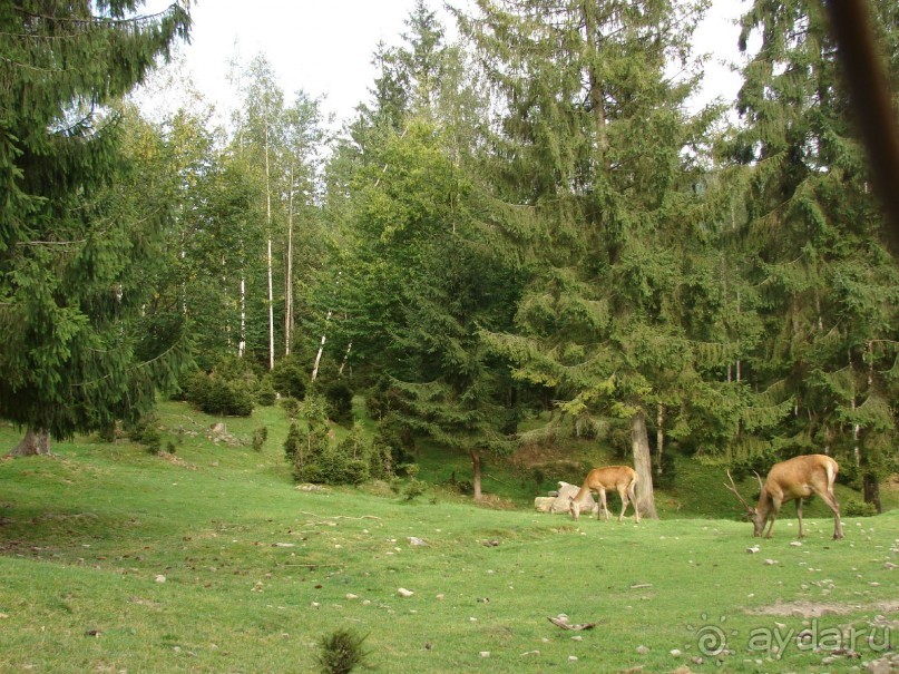 Отличные отель в заповедной зоне