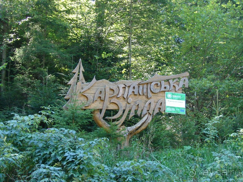 Отличные отель в заповедной зоне