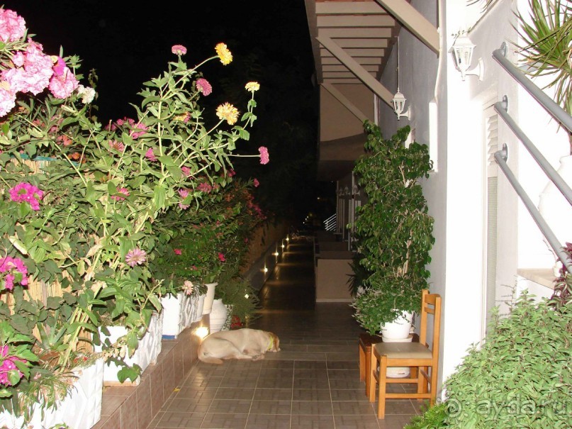 Цена=качеству