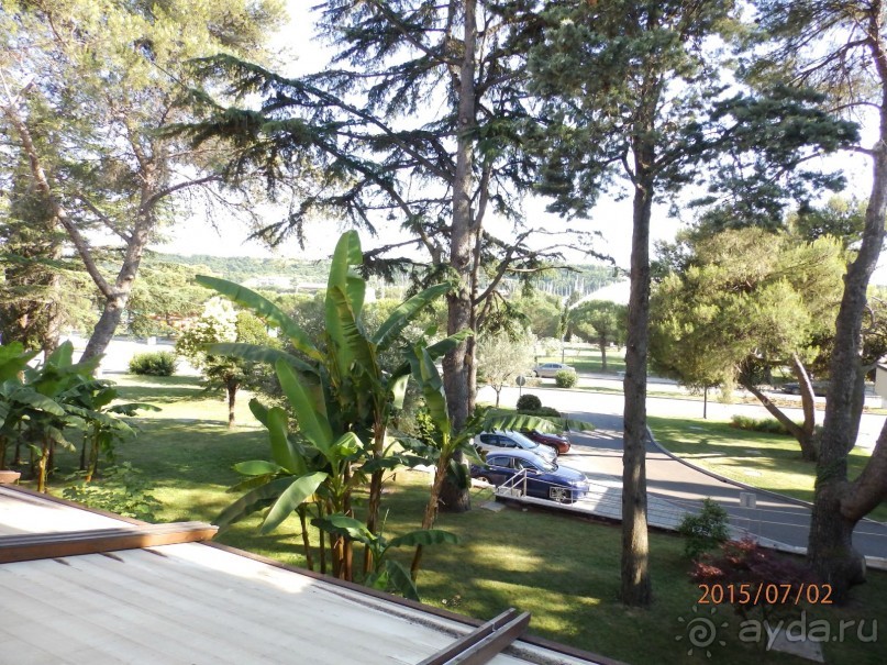 Отель с "сюрпризами"