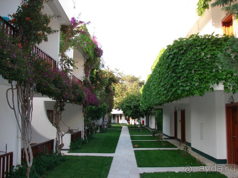 фото Club Boran Mare Beach