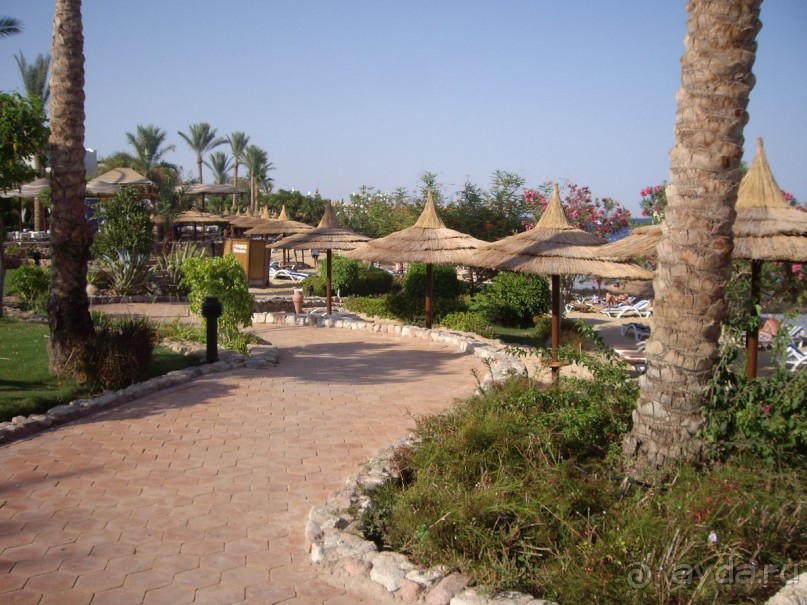 Наш отдых в Роял Гранд Шарм