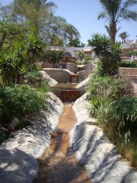 Наш отдых в Роял Гранд Шарм