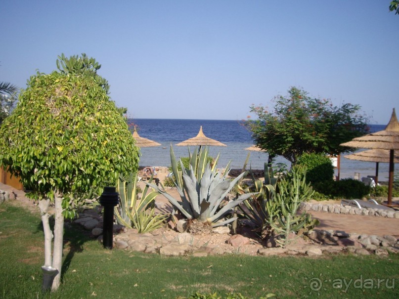 Наш отдых в Роял Гранд Шарм