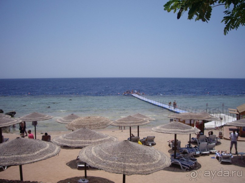 Наш отдых в Роял Гранд Шарм