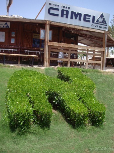 Наш отдых в Роял Гранд Шарм