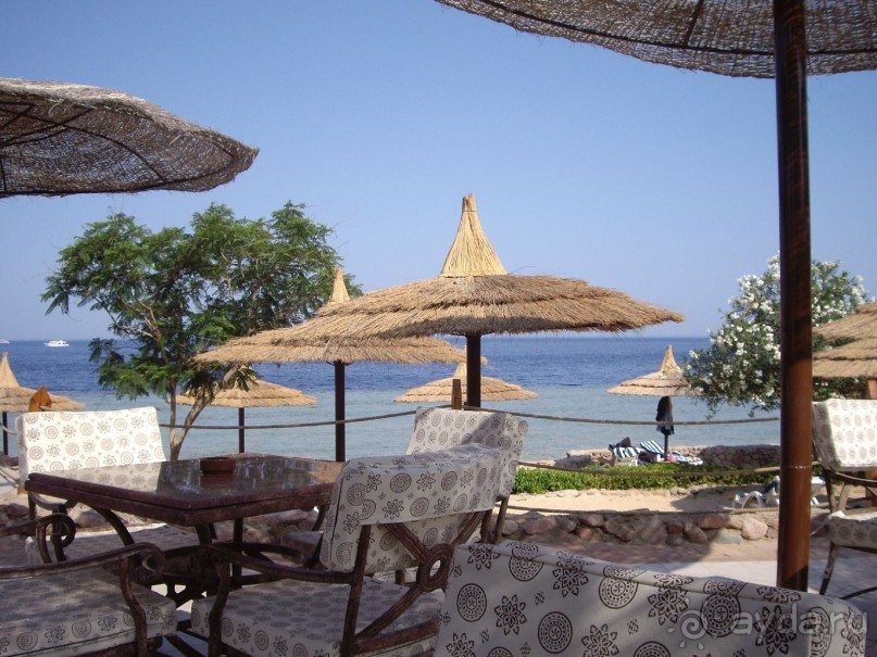 Наш отдых в Роял Гранд Шарм