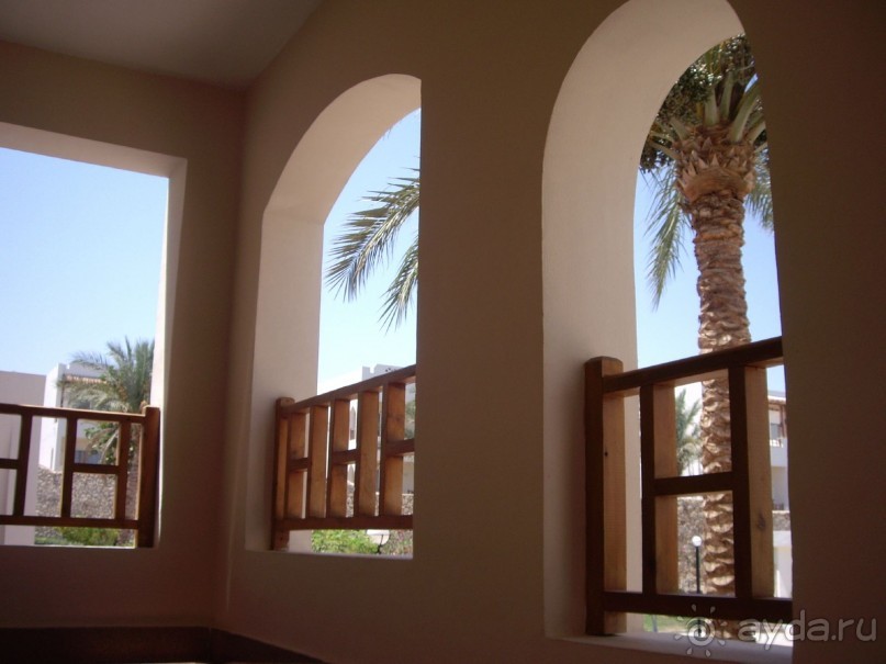 Наш отдых в Роял Гранд Шарм