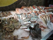 фото Delfinia Hotel