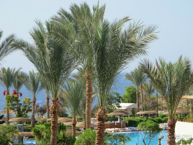 Хороший отель