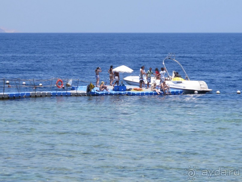 фото Delfinia Hotel