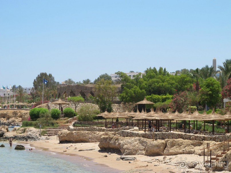 фото Delfinia Hotel