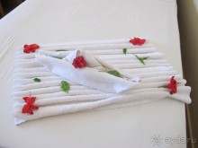 фото Delfinia Hotel