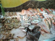 фото Delfinia Hotel