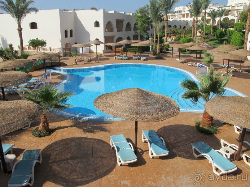 фото Delfinia Hotel