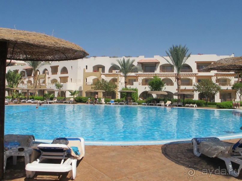 фото Delfinia Hotel