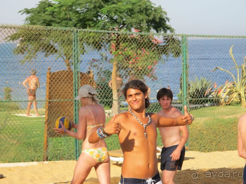 фото Delfinia Hotel