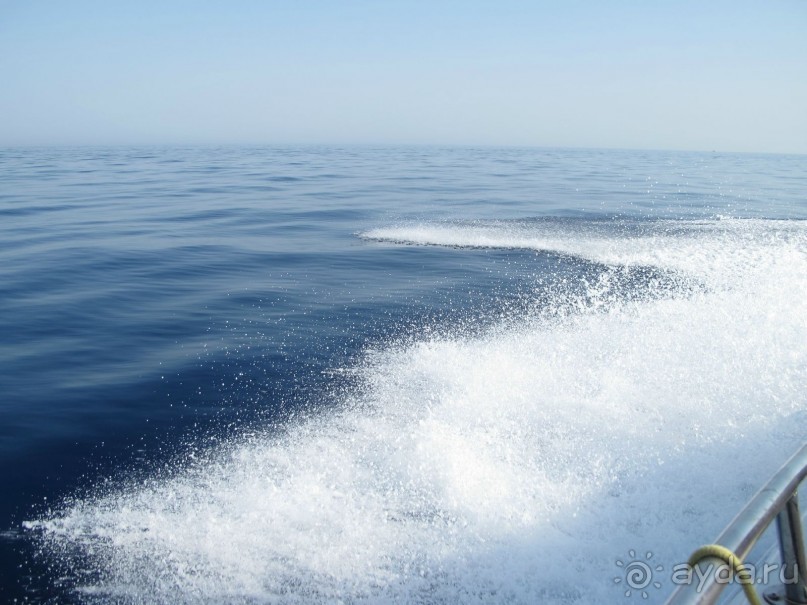 фото Delfinia Hotel