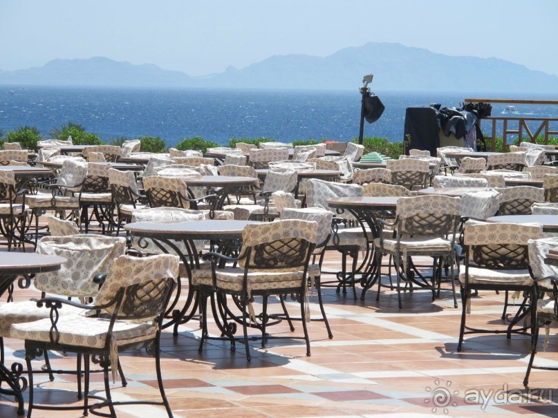 фото Delfinia Hotel